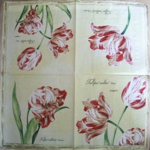 Салфетка тюльпаны "Tulipa culta" код ТС0051, трехслойная, размер 33х33 см.