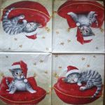 котик на подушке