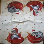 котик на подушке