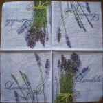 Lavendula
