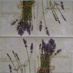 Lavendula