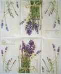 Lavendula