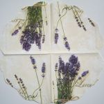Lavendula