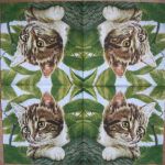 котик на дереве ТС1083(а)