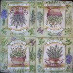 fines herbes ТС1104