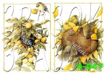 Декупажна карта - птахи на фруктах та соняшнику 4-047, формат А4, 60 г/м2