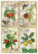 Декупажна карта - фрукти та ягоди 10-534, формат А4, 60 г/м2