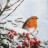 robin in snow 33 х 33 см (пачка)