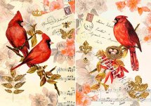 Декупажна карта - пташка червоний кардинал VI083, формат А4, 60 г/м2