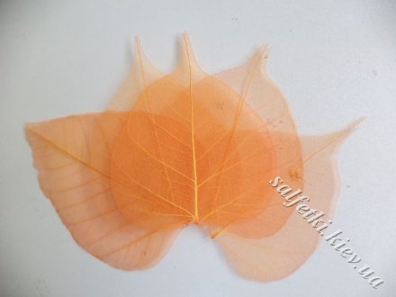 Скелетированные листья оранжевые (5 шт)
