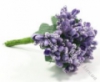 Ягодки-цветочки фиолетовые