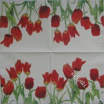 красные тюльпаны ТС1821