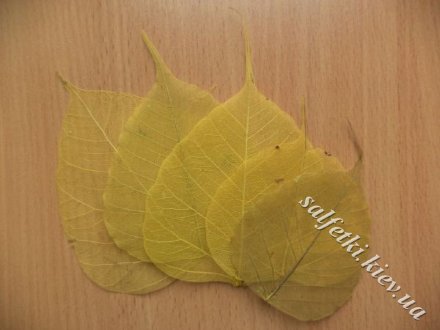 Скелетированные листья, цвет: желтый натуральный (5 шт)