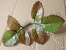Добавка из листочков розы двойная коричнево-зеленая