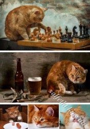 Декупажна карта 45 г/м2 №0192, формат А4