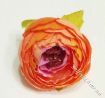 Rose flower peach (head)