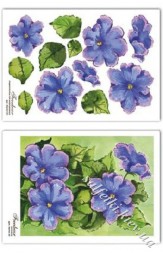 Термонабор thermo133