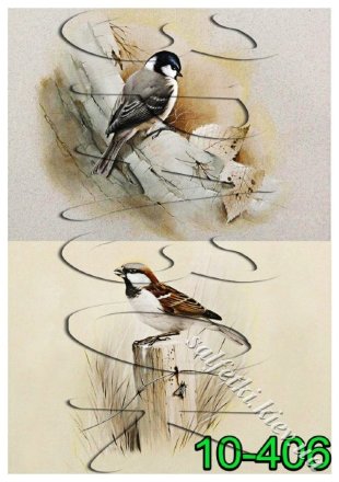 Декупажна карта - птахи 10-406, формат А4, 60 г/м2