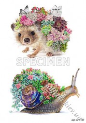 Декупажна карта - їжачок і равлик AN127, формат А4, 60 г/м2