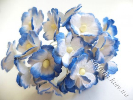 Маленькие цветы бело-синие (5 шт)