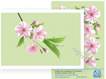 Набір для створення 3-D листівки Вишневий квіт