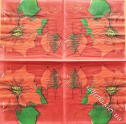 пуансеттия