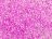 Бисер Preciosa 10/0, № 38127 Прозрачный с цветной полосой внутри, Розовый, Круглый 10г.