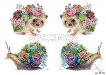 Декупажна карта - їжачок і равлик AN134, формат А4, 60 г/м2