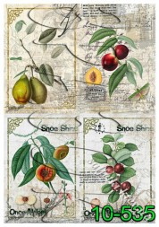 Декупажна карта - фрукти 10-535, формат А4, 60 г/м2