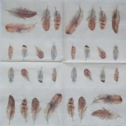Серветка feathers 25 х 25 см (ТМ4245)