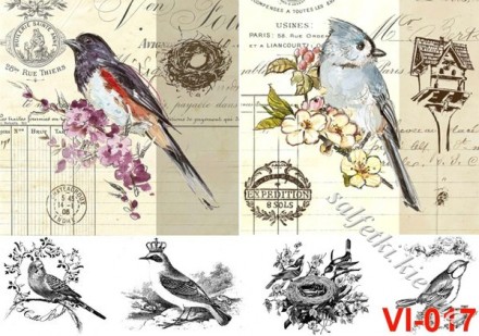 Декупажна карта - пташки з написами VI017, формат А4, 60 г/м2