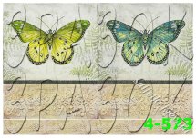 бабочки 4-573