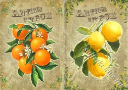 Декупажна карта - апельсини та лимони NT015, формат А4, 60 г/м2
