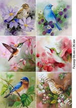 Декупажна карта - птахи AN077, формат А4, 60 г/м2