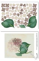 Термонабор thermo157