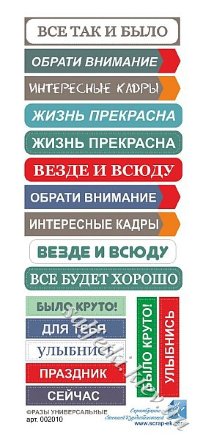 Универсальные надписи на русском языке 9х20 см