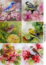 Декупажна карта - птахи AN078, формат А4, 60 г/м2