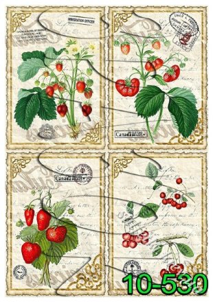 Декупажна карта - фрукти та ягоди 10-530, формат А4, 60 г/м2