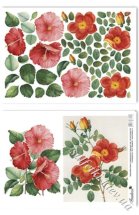 Термонабор thermo160