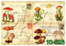 Декупажна карта - листівки із грибочками 10-528, формат А4, 60 г/м2