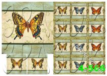 бабочки 4-566