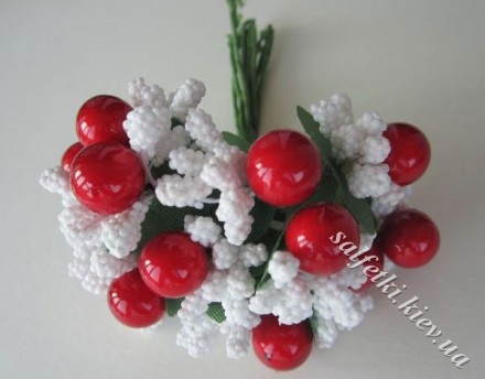 Stamens &quot;Bom&quot; bunch red-white