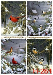 Декупажна карта - зимові пташки Н-284, формат А4, 60 г/м2