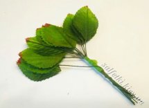 Листья розы зеленые с коричневым кончиком маленькие (12 шт)