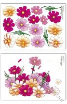 Термонабор thermo80