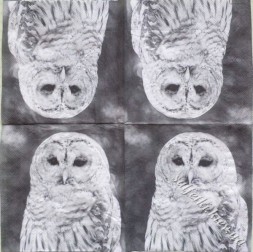 Серветка owl 33 х 33 см (ТС4188)