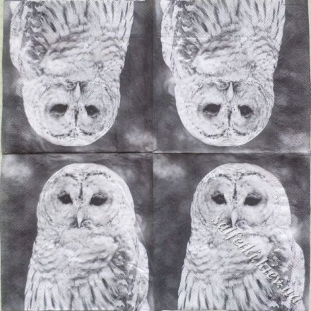 Серветка owl 33 х 33 см (ТС4188)