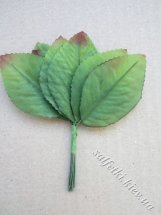 Листья розы зеленые с коричневым кончиком (12 шт)