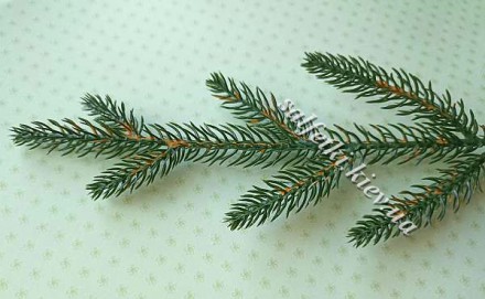 Гілка хвої лита &quot;Ялина тоненька&quot; 7-ка