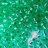 Бісер Preciosa 10/0, № 08258 Прозорий зі срібною смугою (вогник), Зелений, Круглий 10г.